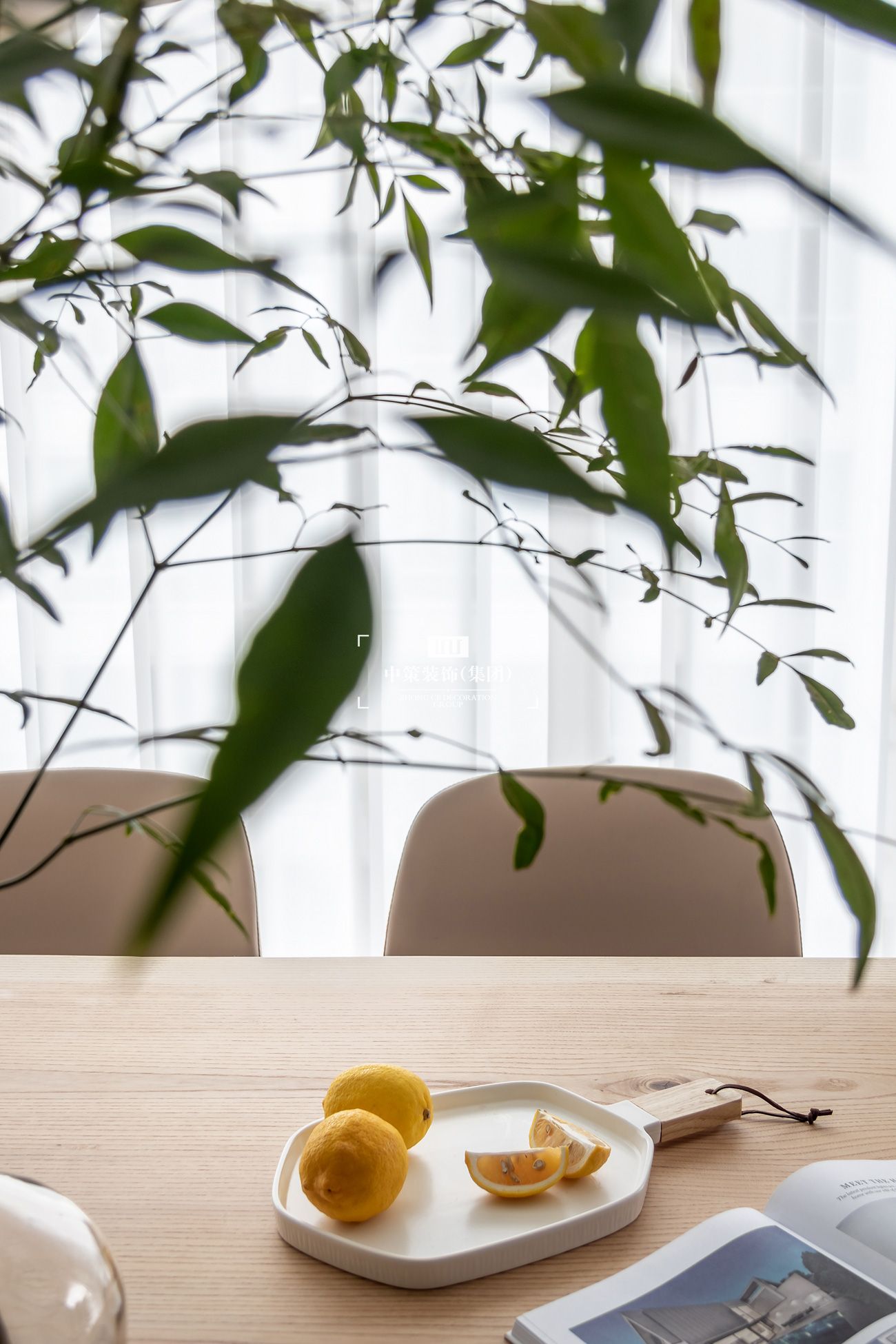 中策無色软装实景案例